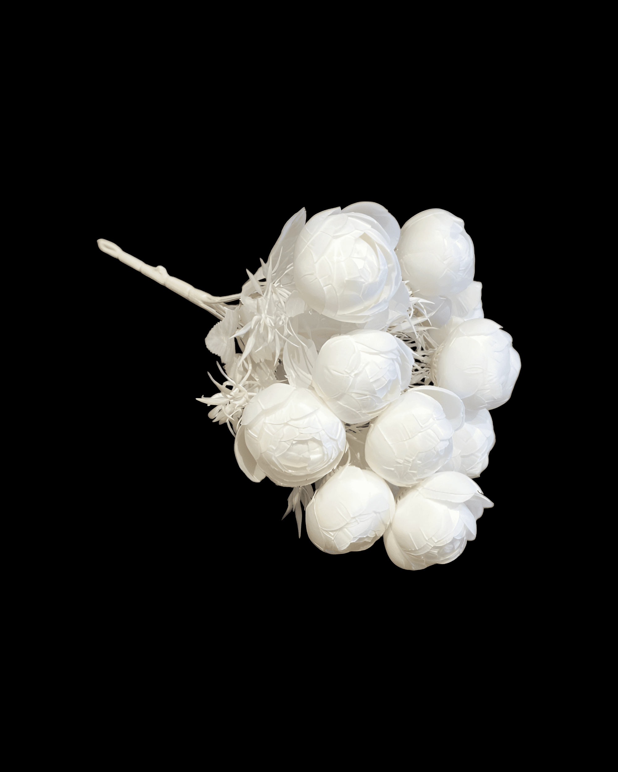 12 BAŞLI ŞAKAYIK 6