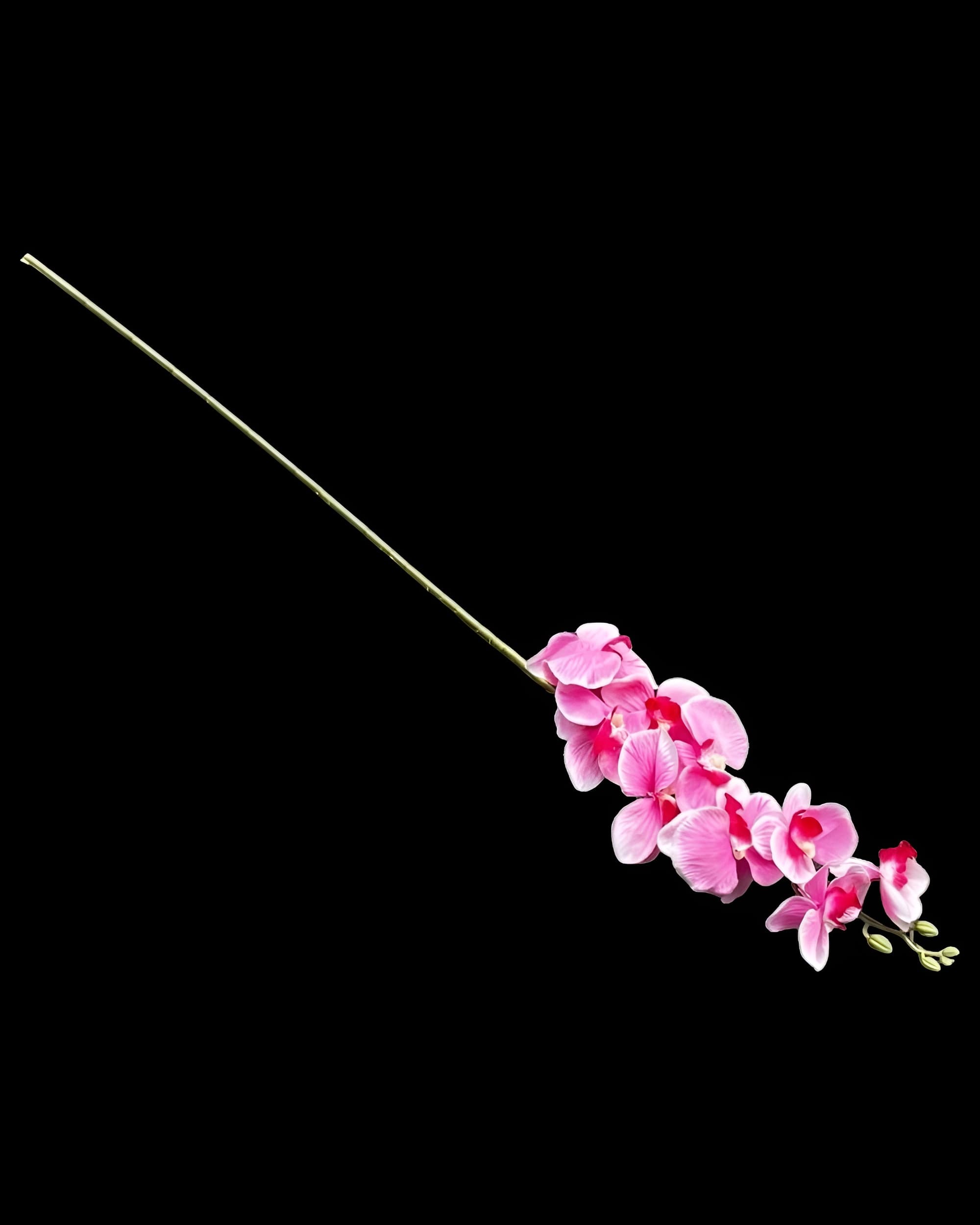 ORKİDE DAL 90 CM - 1