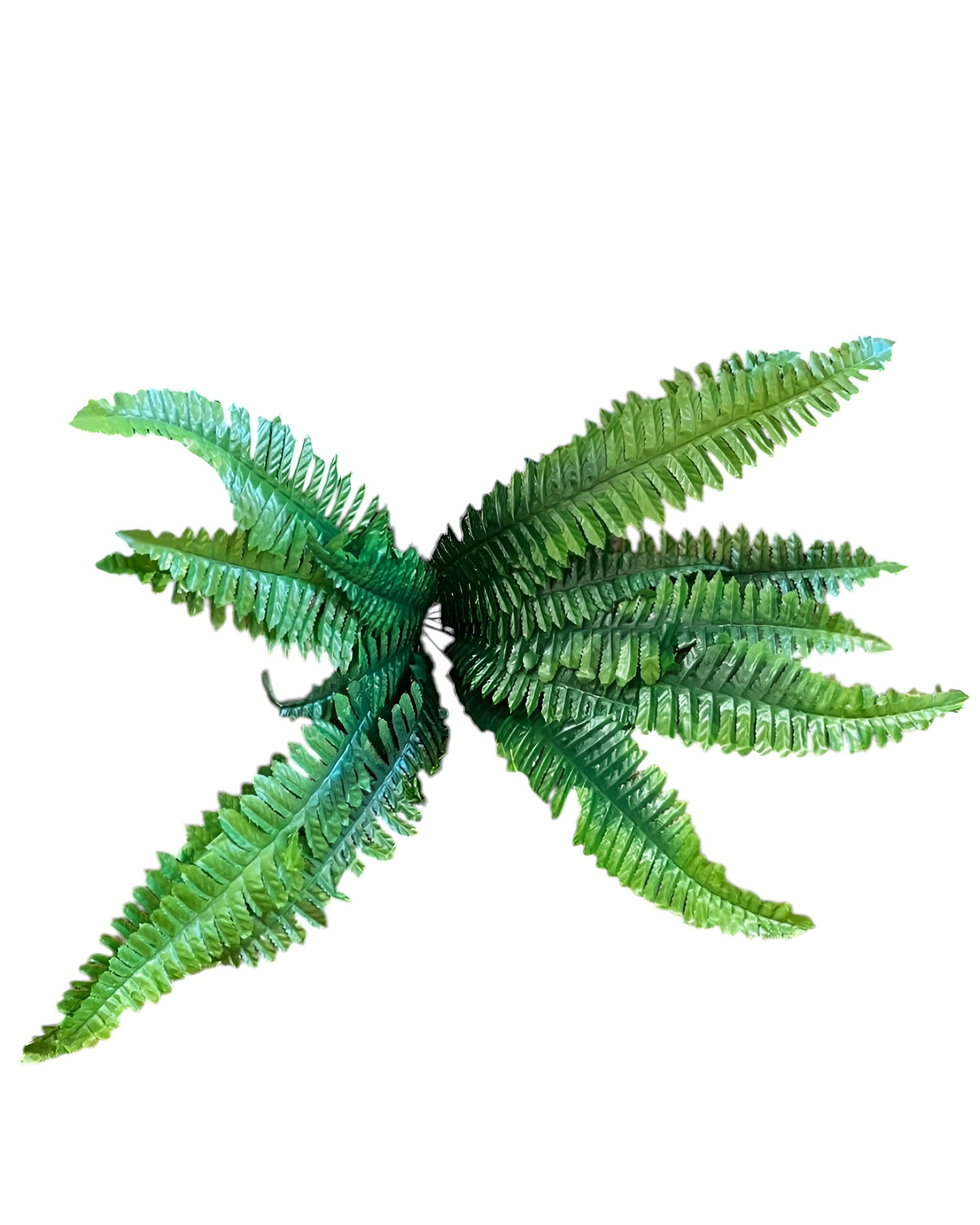 18 DALLI YAPAY AŞK MERDİVENİ - 3