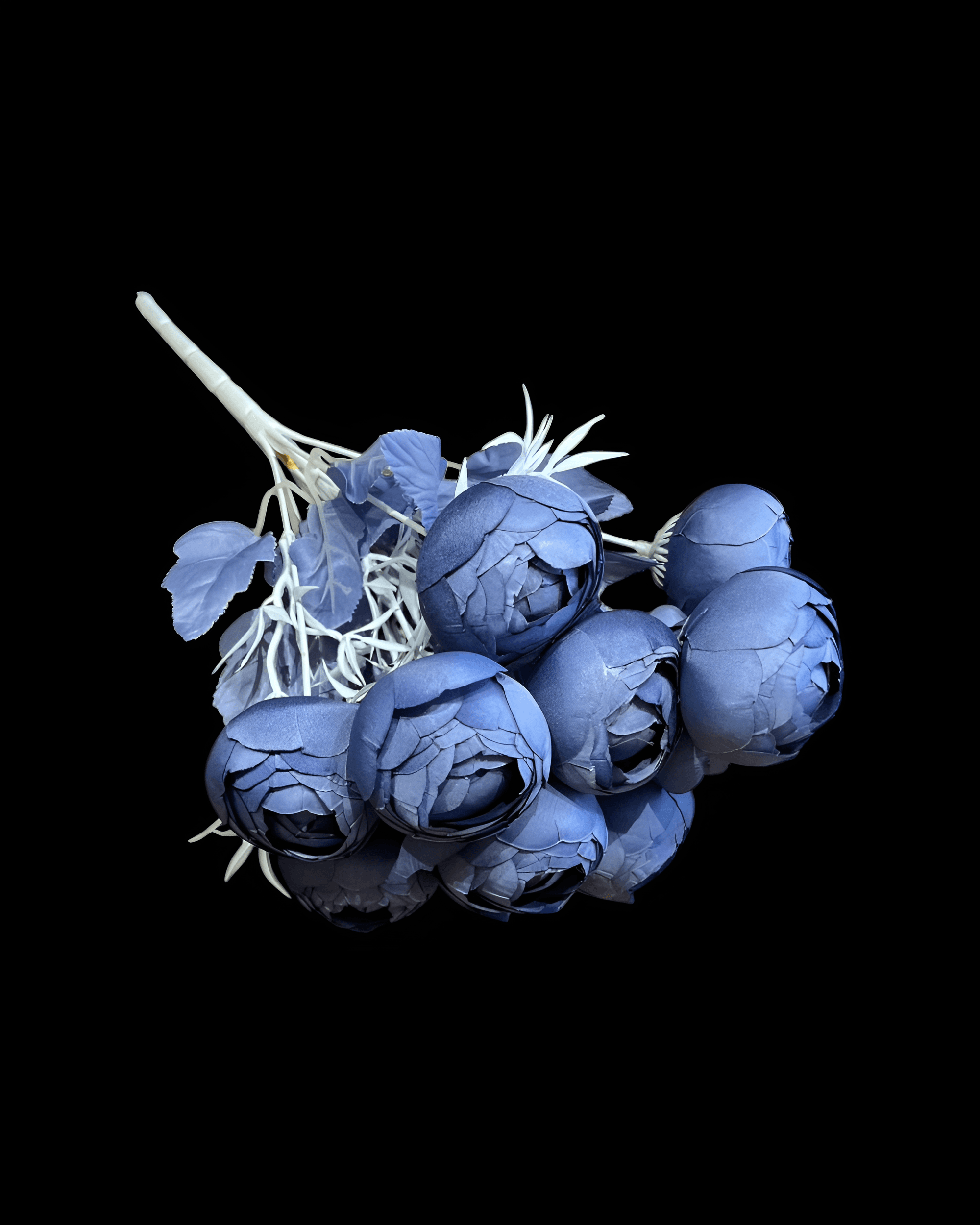 12 BAŞLI ŞAKAYIK 1