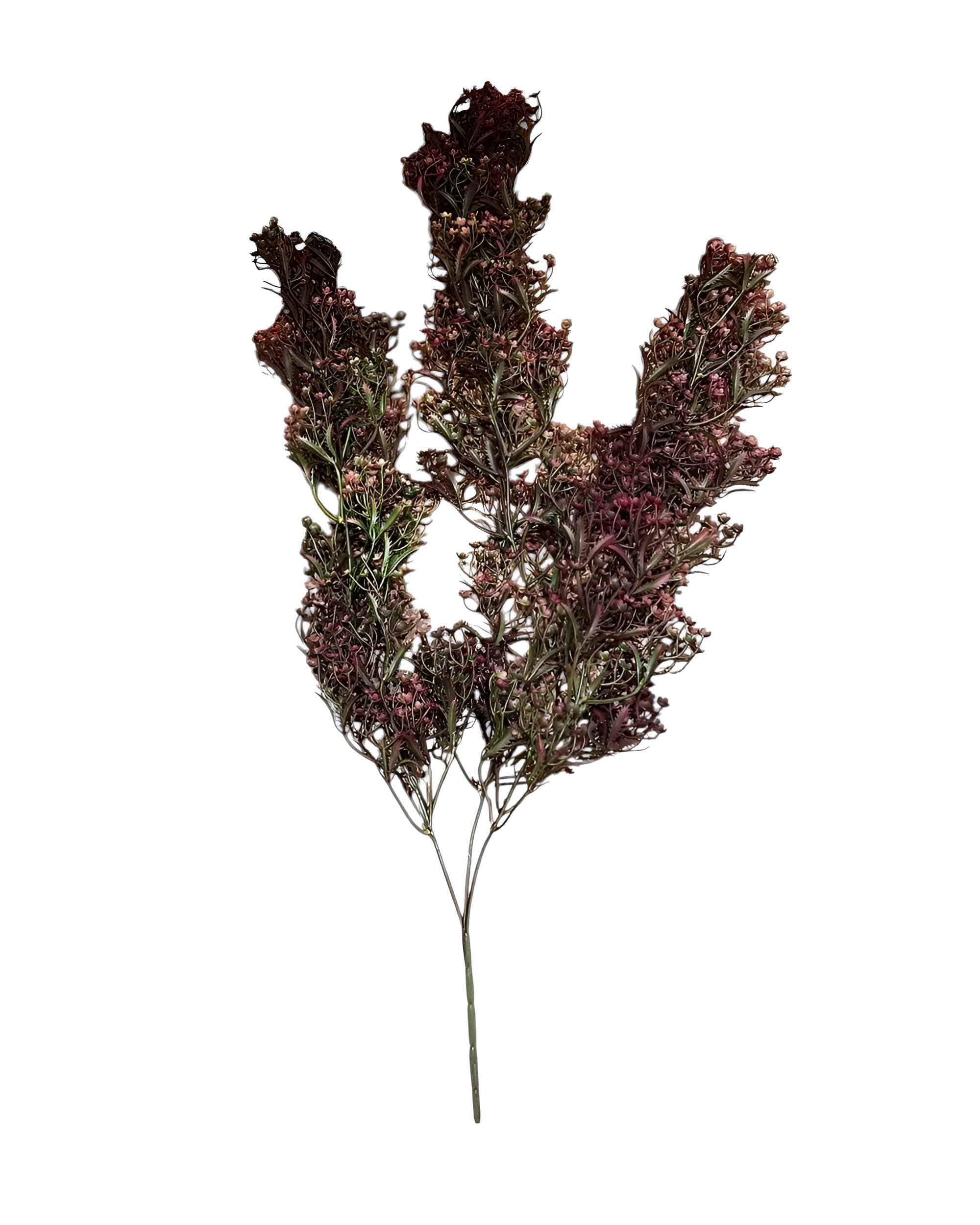 SARKAN CİPSO SONBAHAR SARMAŞIK 75 CM - 2