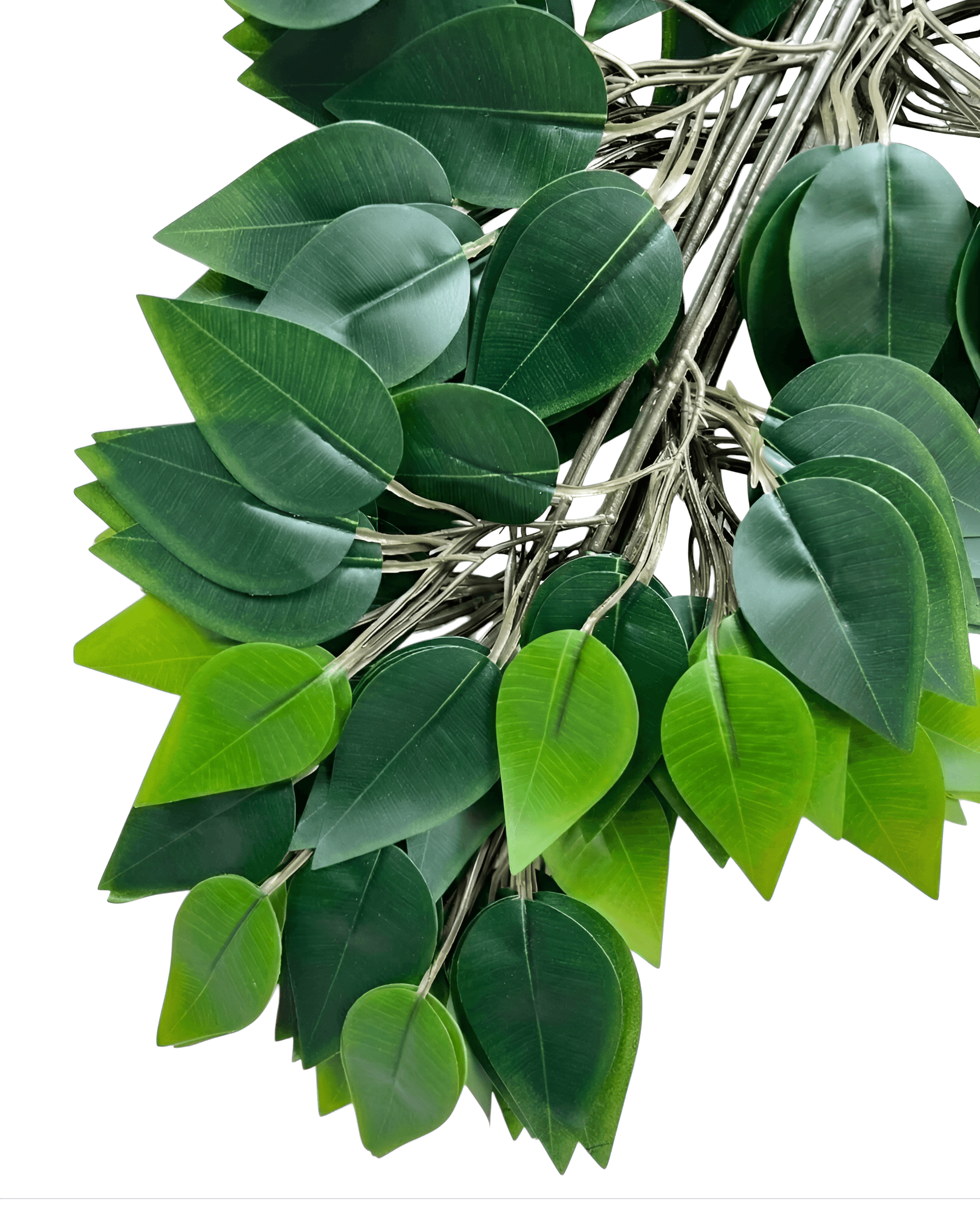 12'Lİ BENJAMİN YAPRAĞI - 2