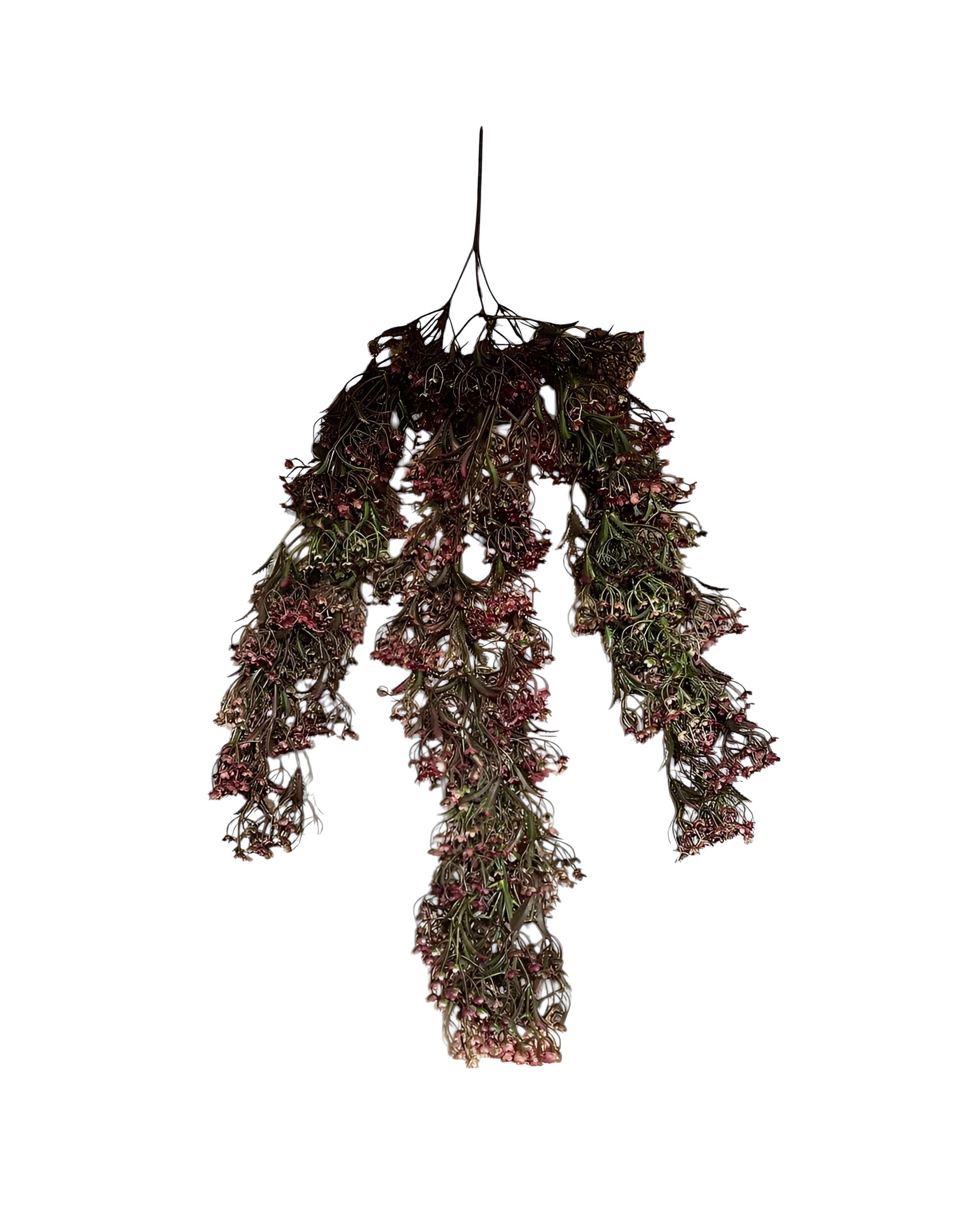 SARKAN CİPSO SONBAHAR SARMAŞIK 75 CM - 1