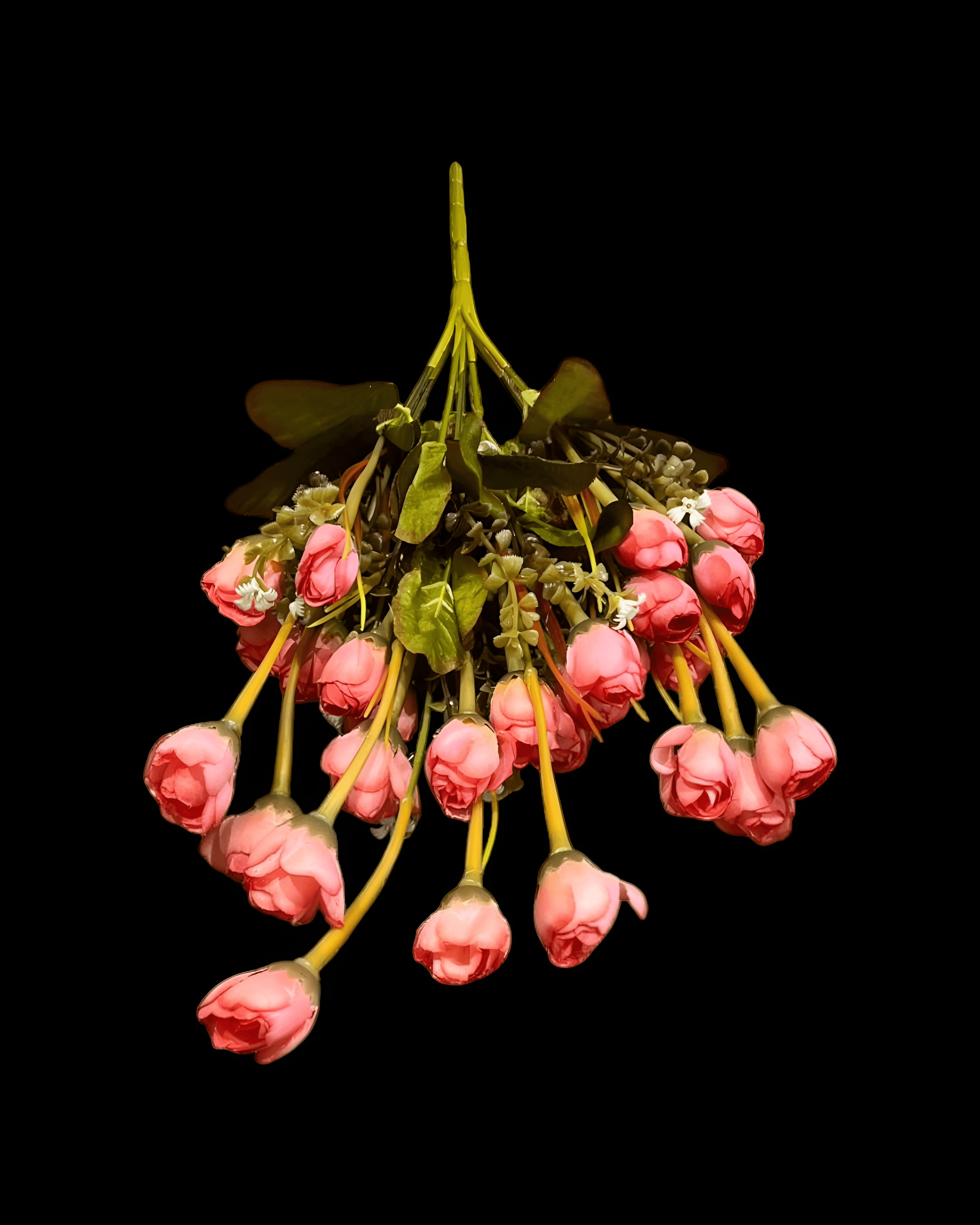 27 BAŞLI TOMURCUK DEMETİ 3